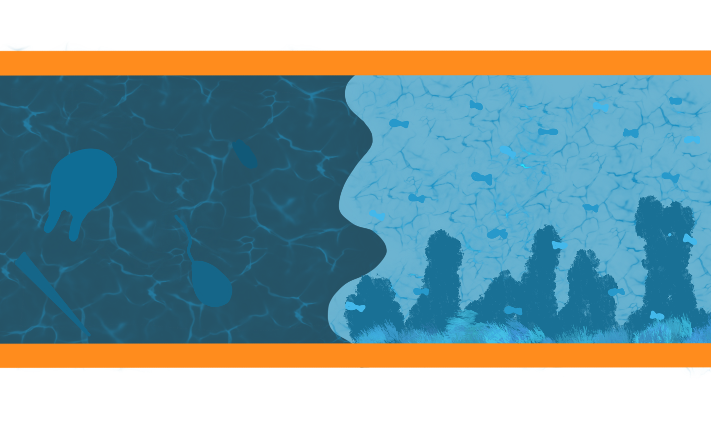 Environment And Sustainability