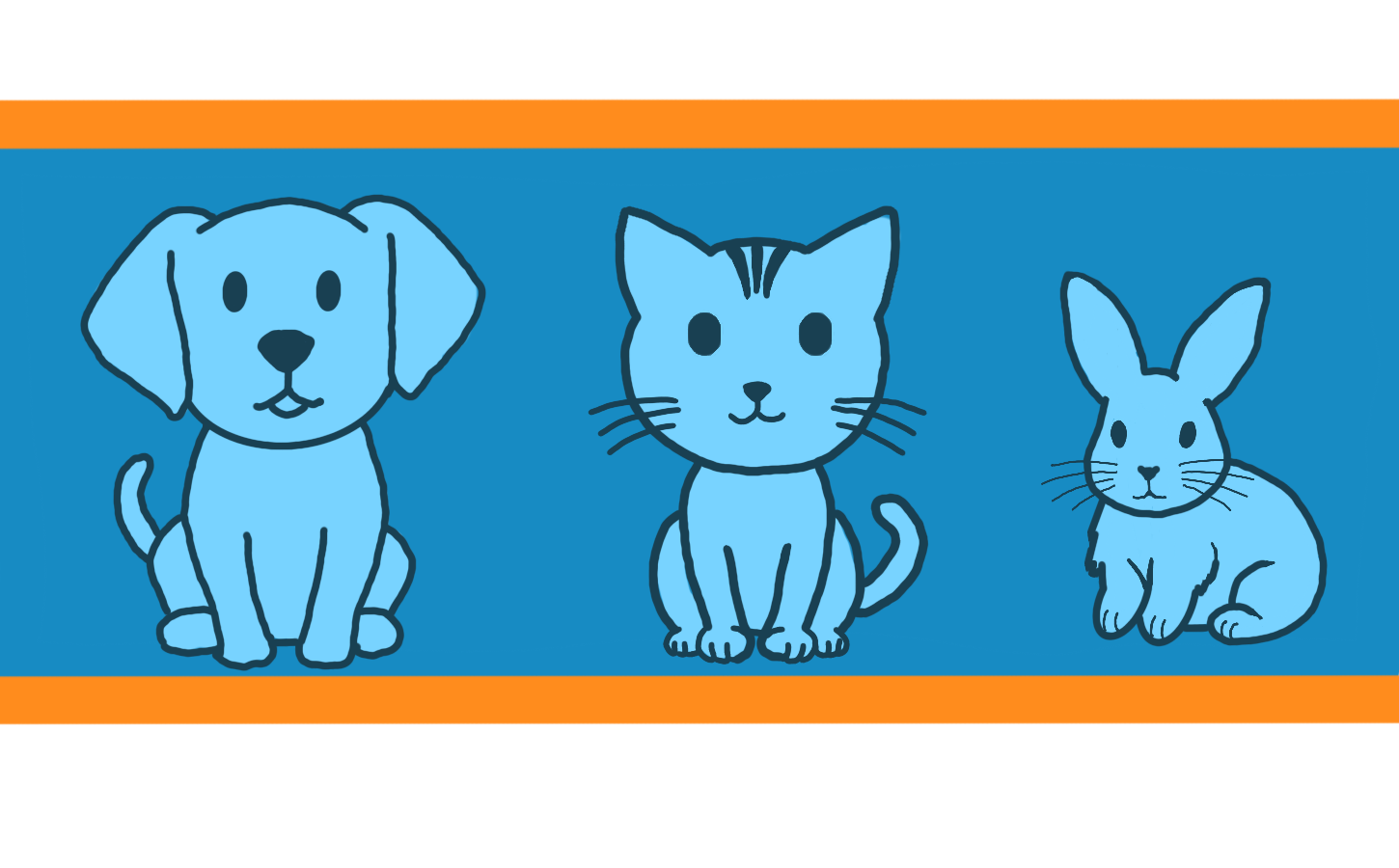 Pet Pictures And Animals